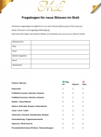 Fragebogen